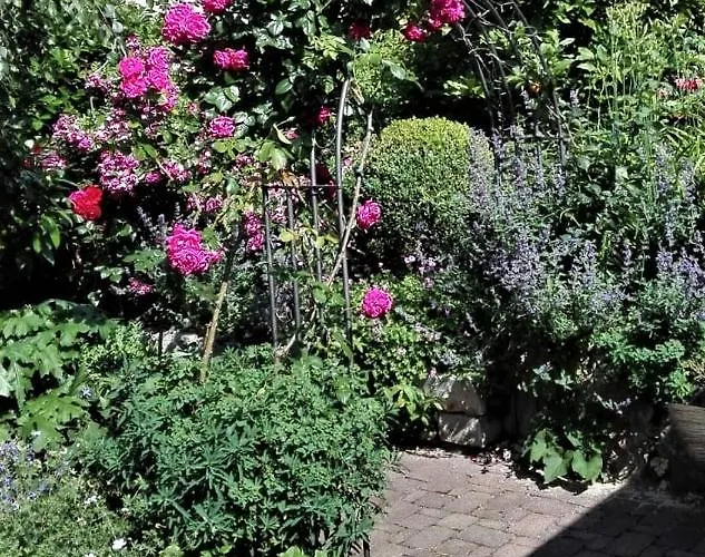 Anjas * Freiburg im Breisgau