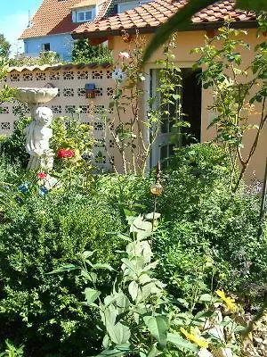 Anjas * Freiburg im Breisgau